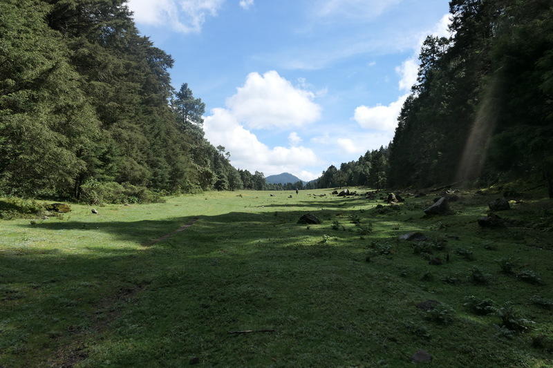 The field near the top of Cerro Pelón