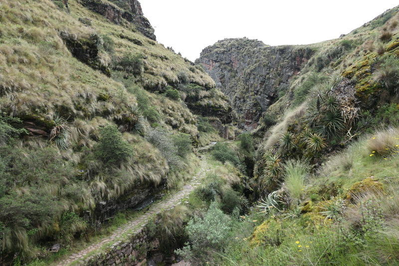 Inca hike