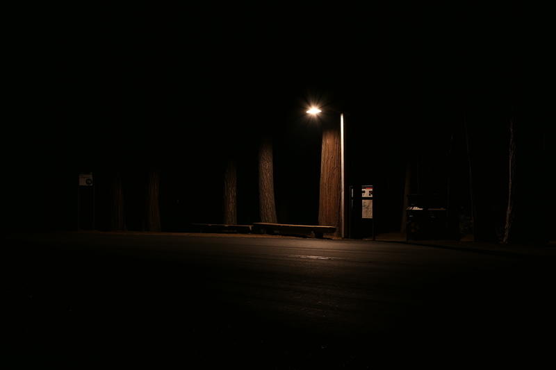 Lonely trees waiting for the bus