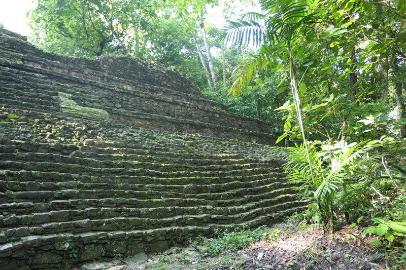 A temple in the jungle of Palenque