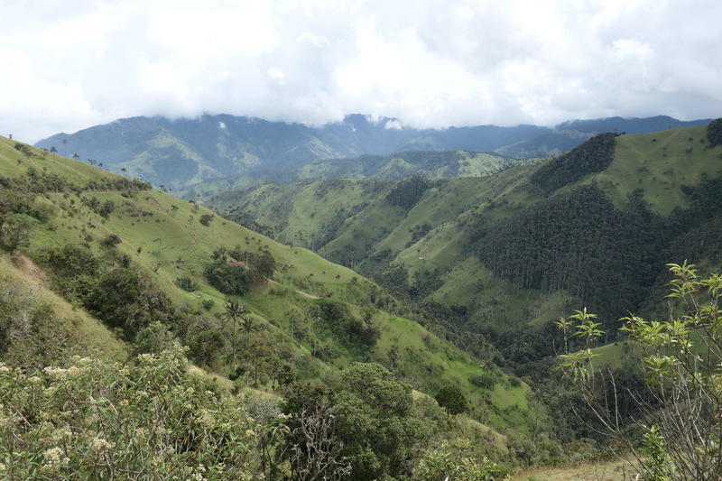 A view from the ride