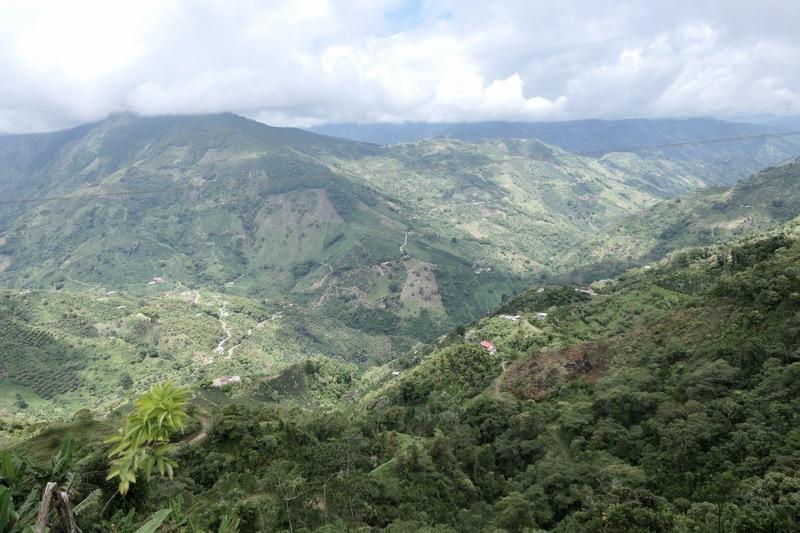 A Zona Cafetera vista